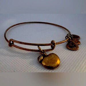 Alex and Ani | Apple of Abundance charm bracelet